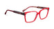 RD - Red