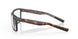 901602 - Tortoise