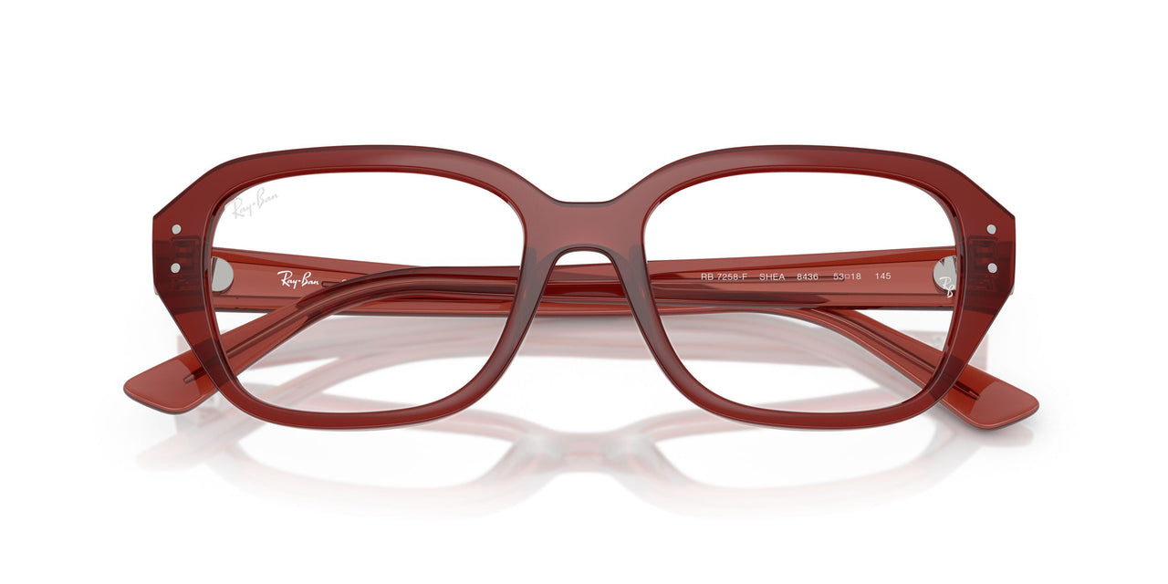 8436 - Brown - Clear