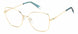 Polaroid Core PLDD521 Eyeglasses