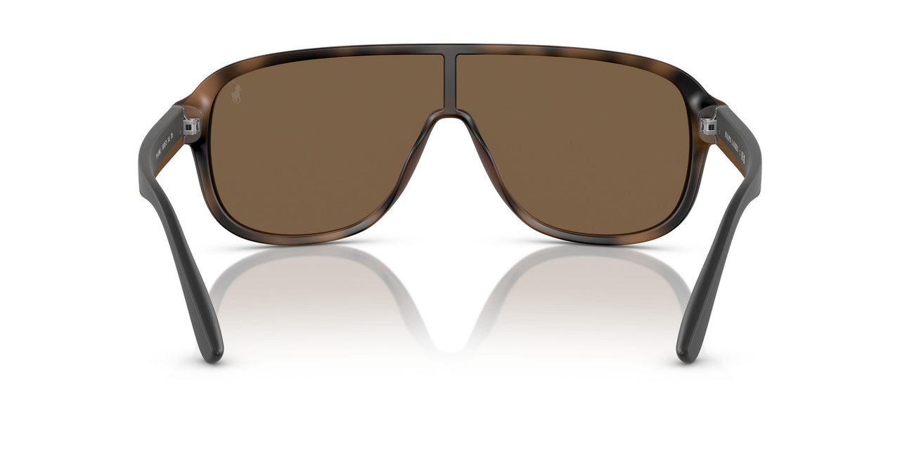 607073 - Brown - Brown