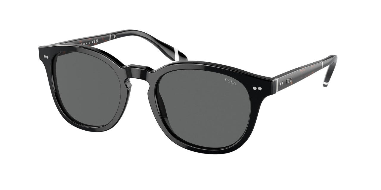 Polo 4206 Sunglasses