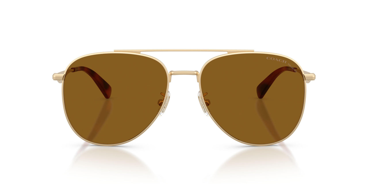 900583 - Gold - Brown Solid Polar