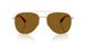 900583 - Gold - Brown Solid Polar