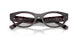 8461 - Tortoise - Clear