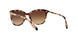 146313 - Havana - Dark Brown Gradient