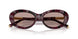 34647N - Violet - Light Purple Brown