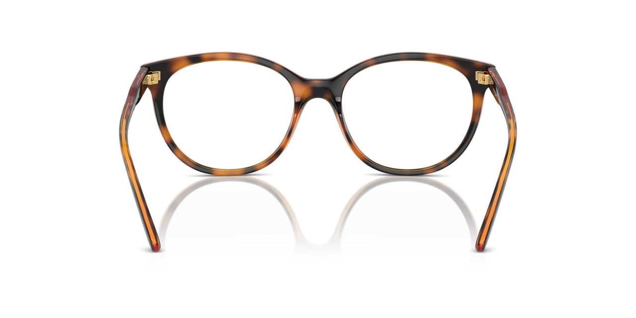 W656 - Brown