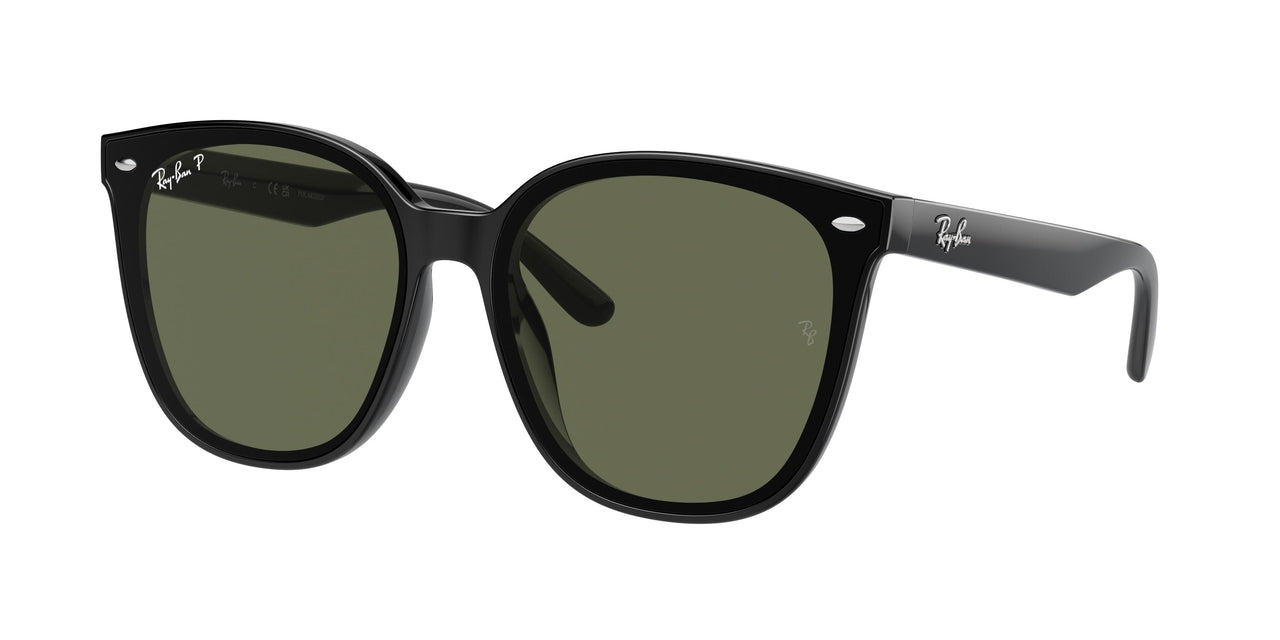 Ray-Ban 4423D Sunglasses