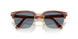 96/56 - Brown - Light Blue