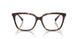 5026 - Tortoise