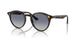 710/4L - Tortoise - Light Grey Gradient Dark Blue