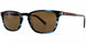 Kata Sensei Sun Sunglasses