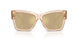 343203 - Brown - Clear Mirror Real Yellow Gold