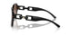 502613 - Tortoise - Gradient Brown