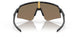 946517 - Black - Prizm 24k