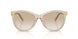 844511 - Brown - Neutral Gradient Light Grey