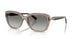 294011 - Brown - Gradient Grey