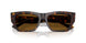 500283 - Tortoise - Dark Brown Polar