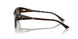 500273 - Tortoise - Dark Brown