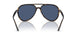 710/80 - Tortoise - Dark Blue