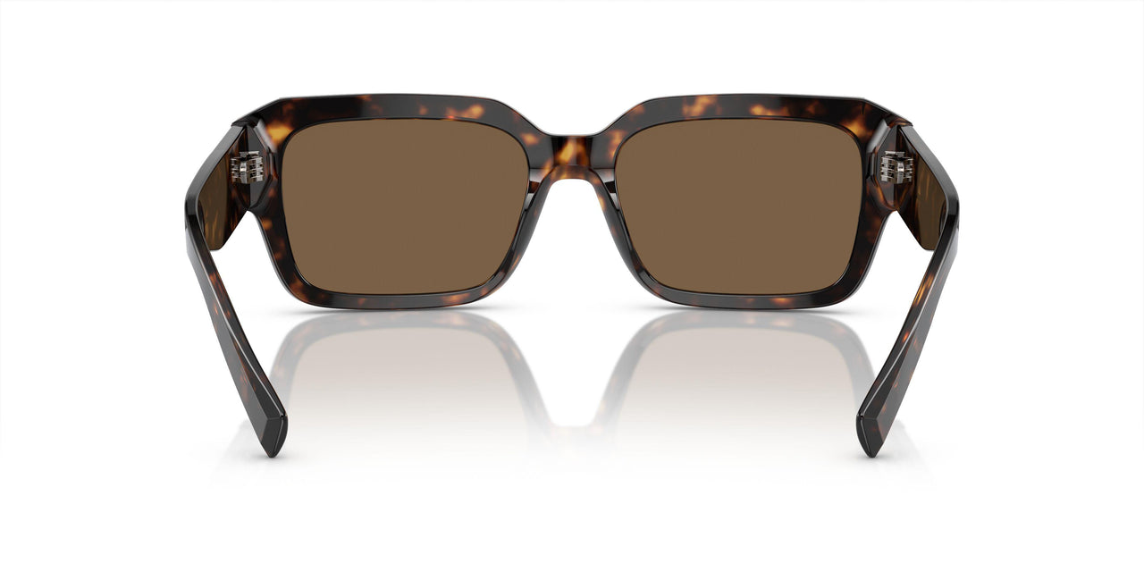 502/73 - Tortoise - Dark Brown