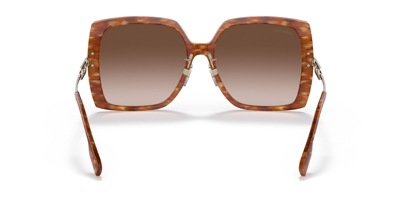 391513 - Brown - Brown Gradient