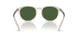 611771 - Brown - Bottle Green