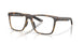 802603 - Tortoise