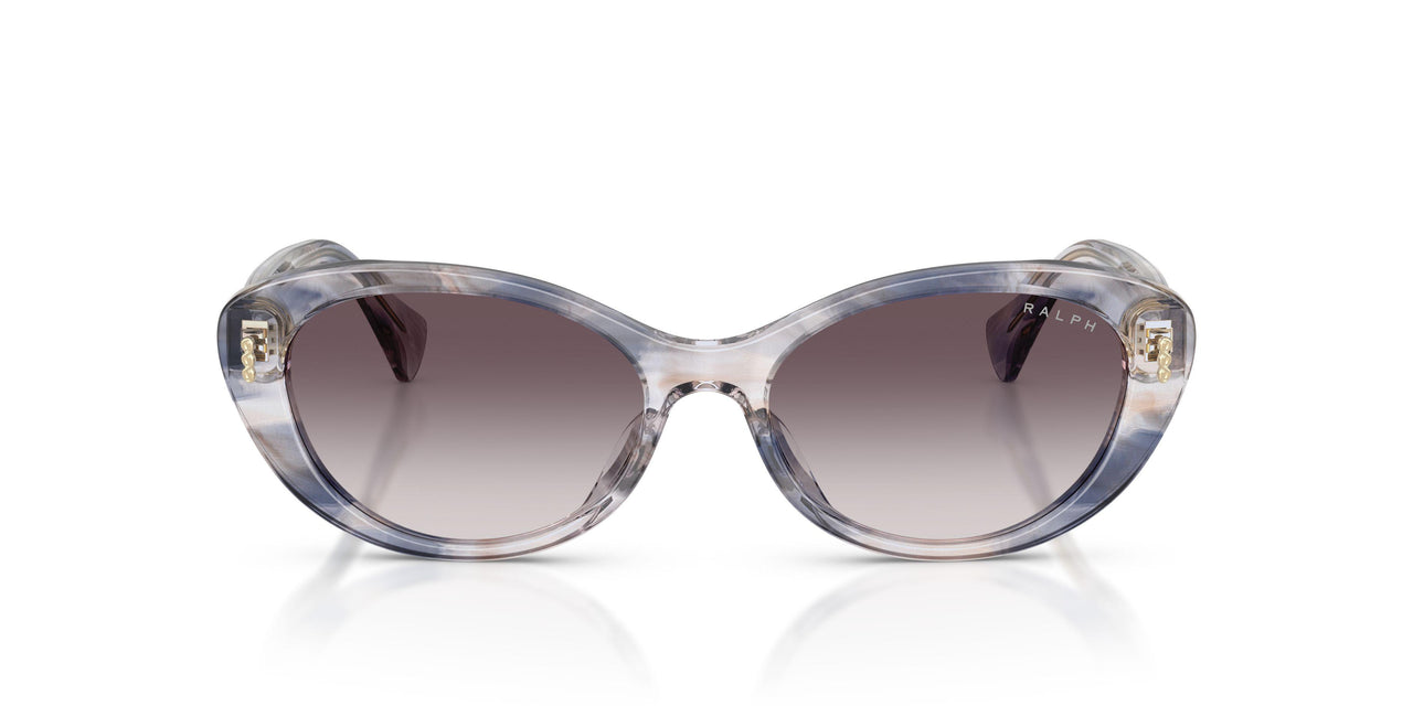 634311 - Tortoise - Grey Gradient