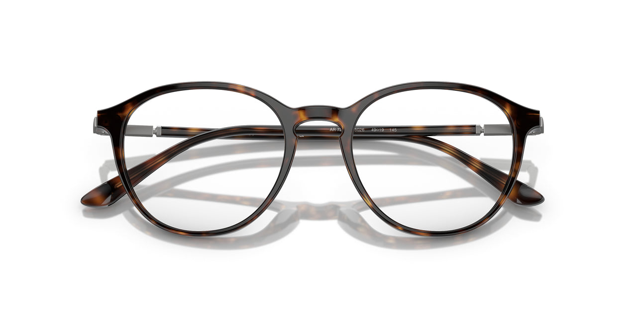 5026 - Tortoise