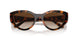 W65613 - Brown - Gradient Brown