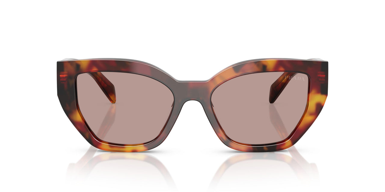 22A20I - Tortoise - Light Purple Brown