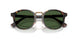 500371 - Tortoise - Bottle Green