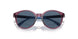 507180 - Violet - Dark Blue
