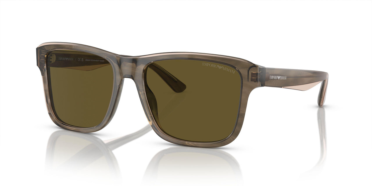 605573 - Green - Dark Brown