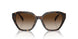 500313 - Brown - Gradient Brown