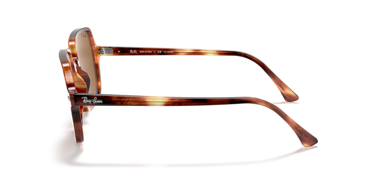954/57 - Havana - Brown Polar
