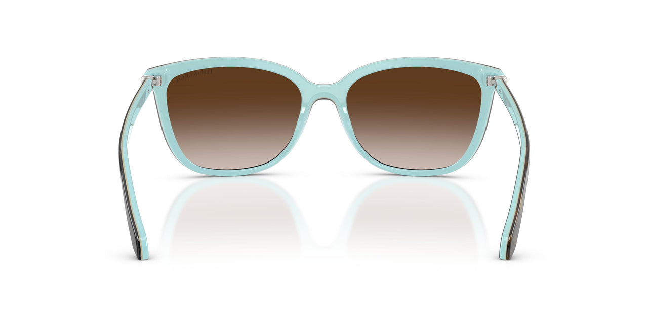 81343B - Havana - Brown Gradient