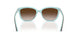 81343B - Havana - Brown Gradient
