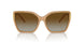 1965T5 - Brown - Brown Polarized