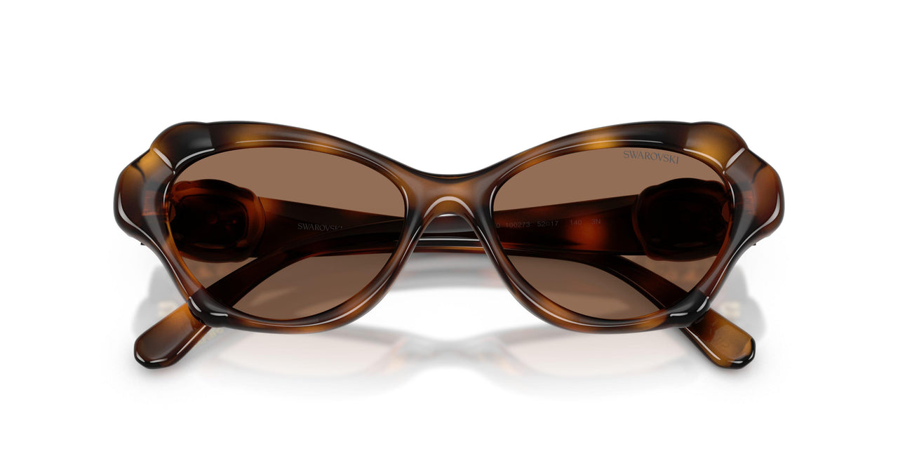100273 - Tortoise - Dark Brown