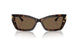 500273 - Tortoise - Dark Brown