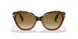 112151 - Multi - Clear Gradient Brown