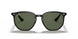 601/71 - Black - Green