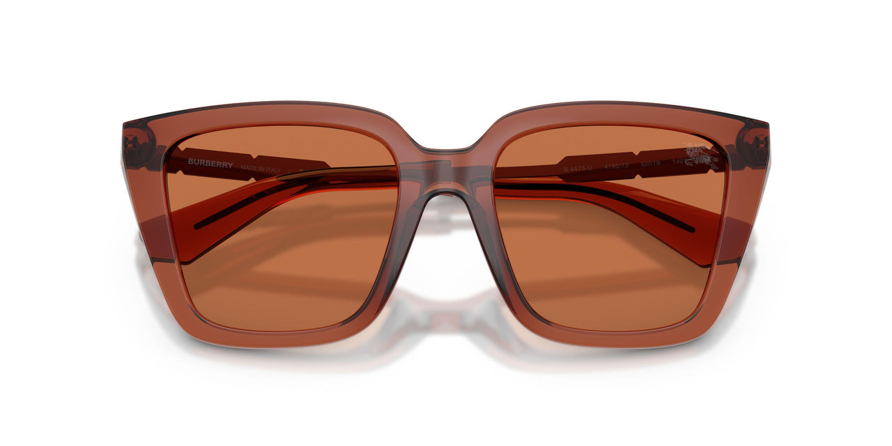 419573 - Brown - Brown
