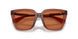 419573 - Brown - Brown