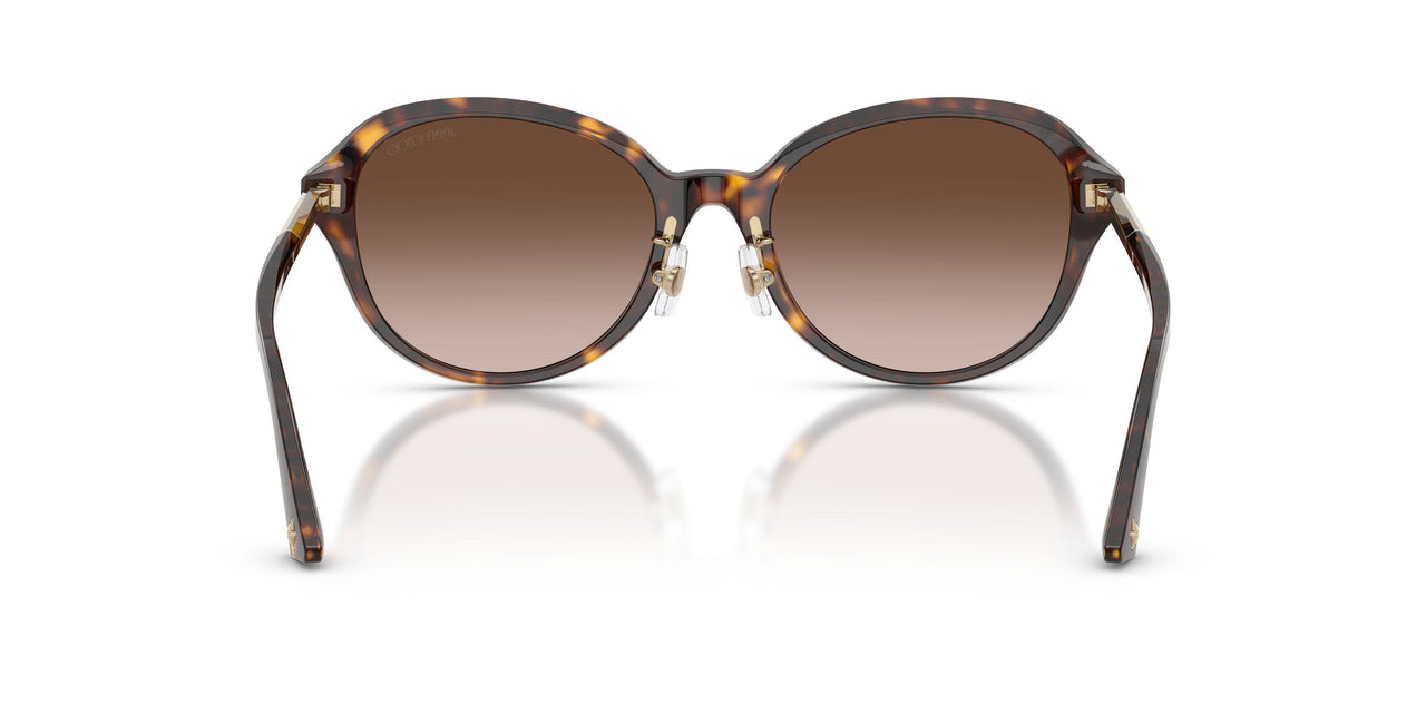 500213 - Tortoise - Gradient Brown