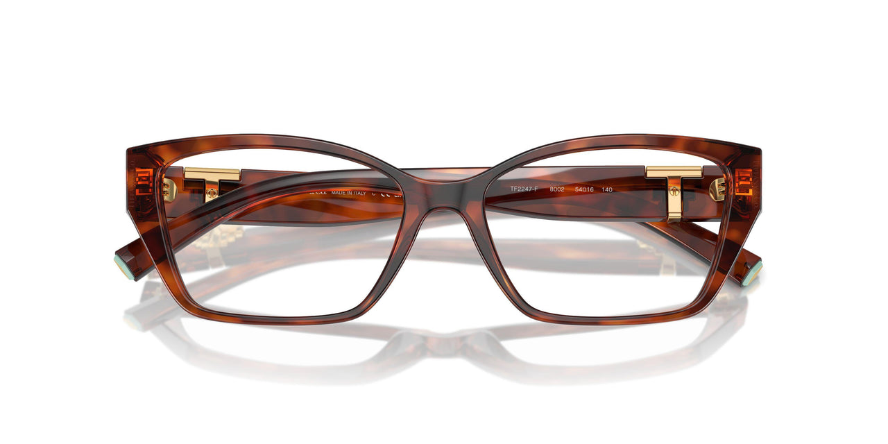 8002 - Tortoise