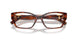 8002 - Tortoise